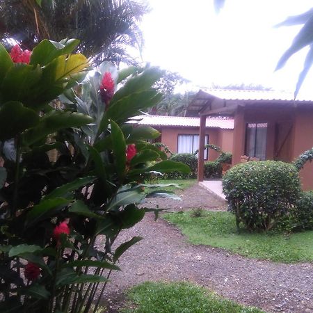 Slow Travel Lodge Upala Extérieur photo